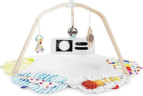 LOVEVERY | The Play Gym | Award Winning For Baby , Stage-Based Developmental Activity Gym & Play Mat for Baby to Toddler